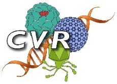 Center for Virus Research
