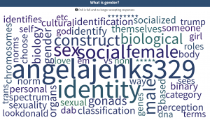 A word cloud of terms students associated with "gender," including "sex," "social," "construct", "chromosomes," "trans," "identify", and "biological."