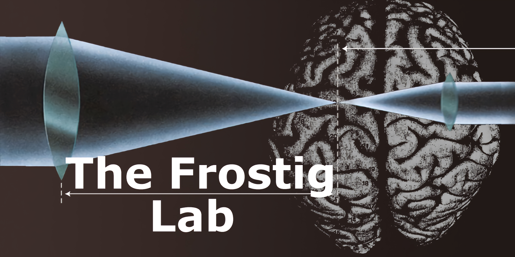 Frostig Lab