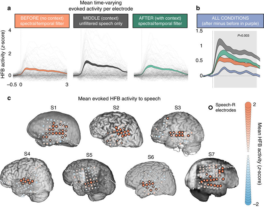 Brain Recordings in Relation to Speech