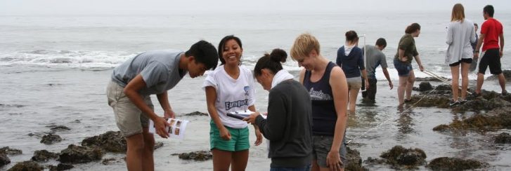 Group cleanup on beach