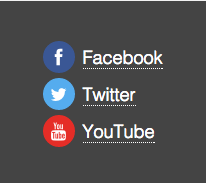 Social icons in footer